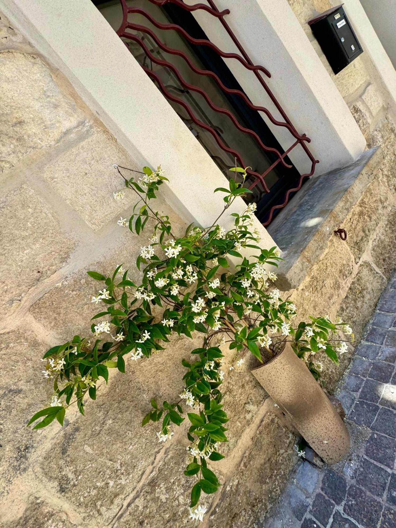 Maison De Village Renovee ! Le Grau-du-Roi Ngoại thất bức ảnh